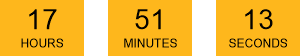 Countdown Timer
