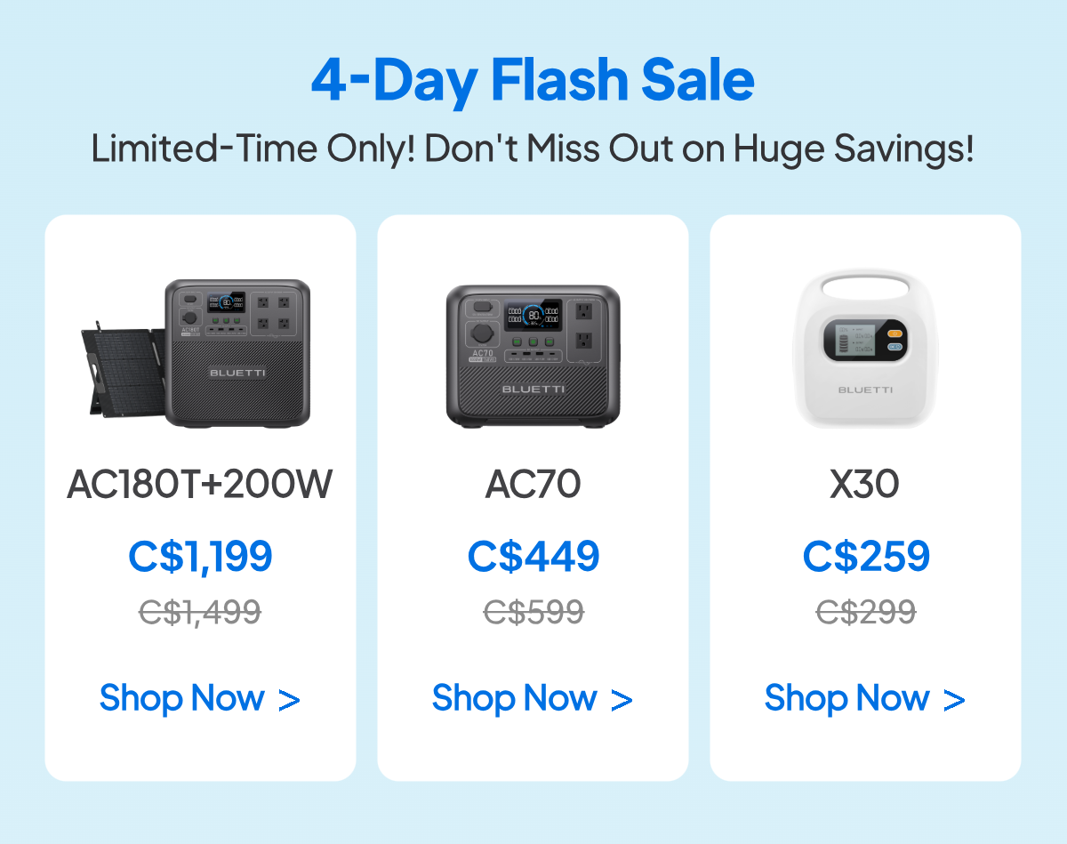 4-Day Flash Sale