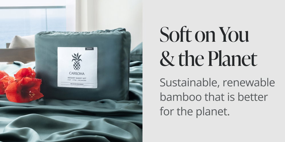 Soft on You & the Plant