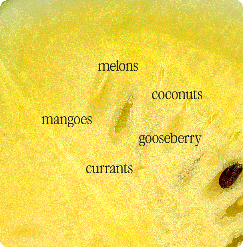 melons, coconuts, mangos, gooseberry, currents