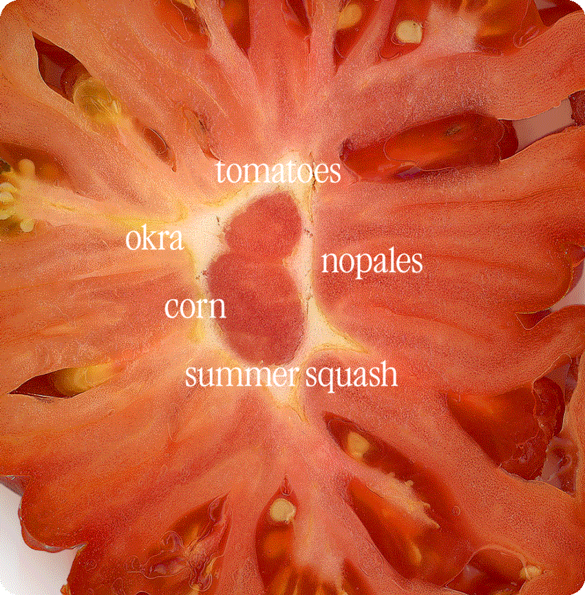 tomatoes, okra, nopales, corn, summer squash