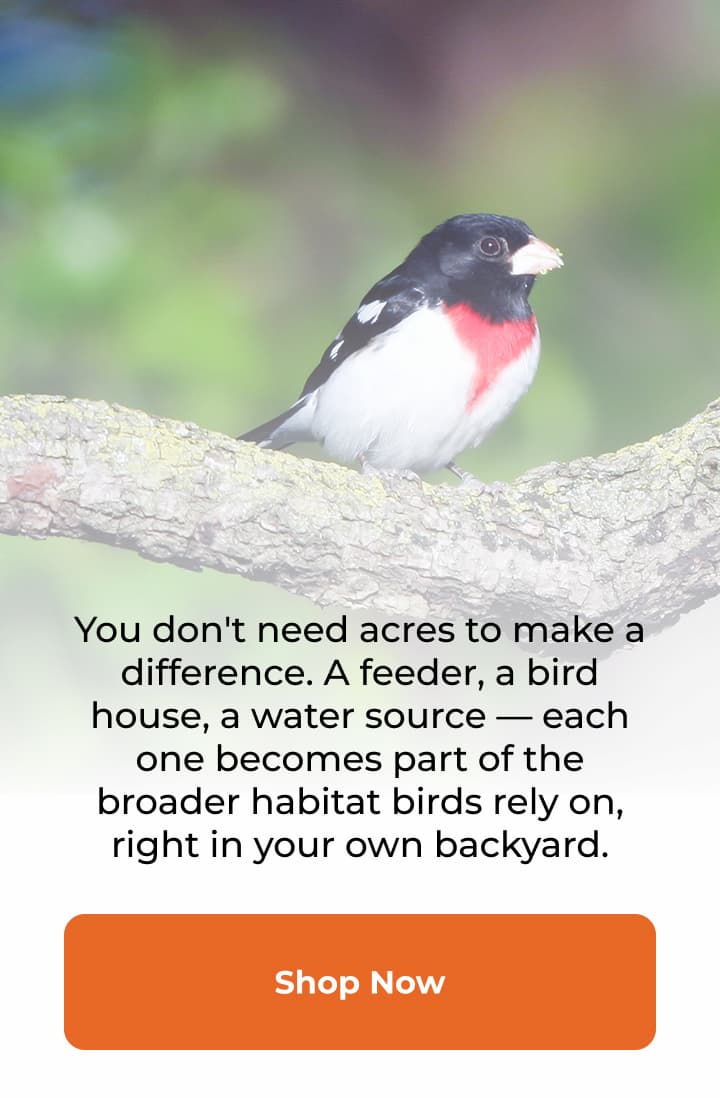 You don't need acres to make a difference