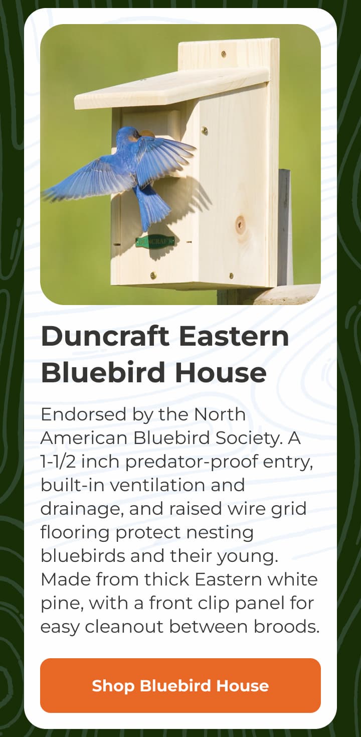 Duncraft Eastern Bluebird House