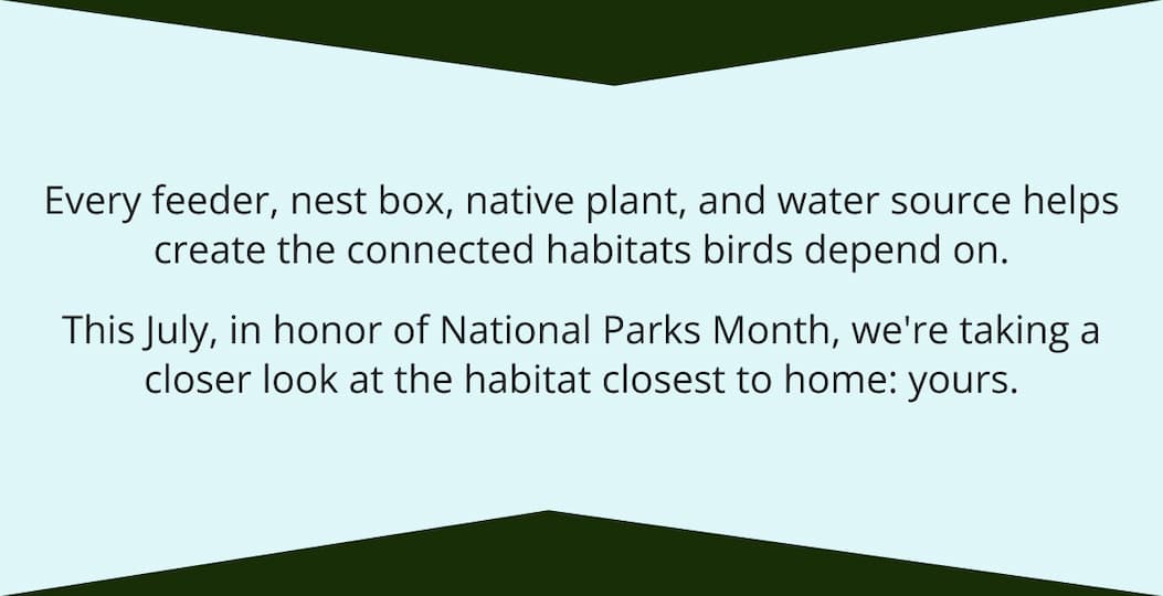 Every feeder, nest box, native plant, and water source
