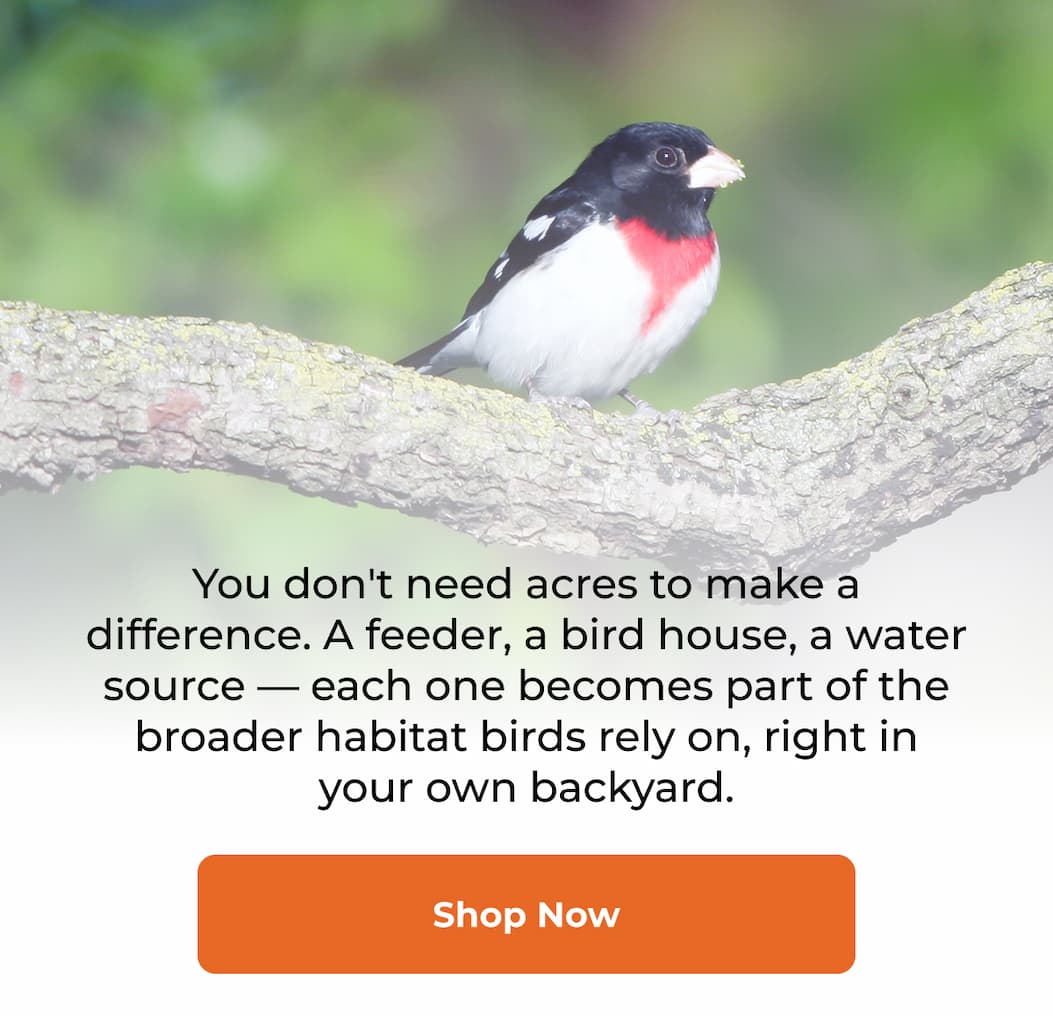 You don't need acres to make a difference