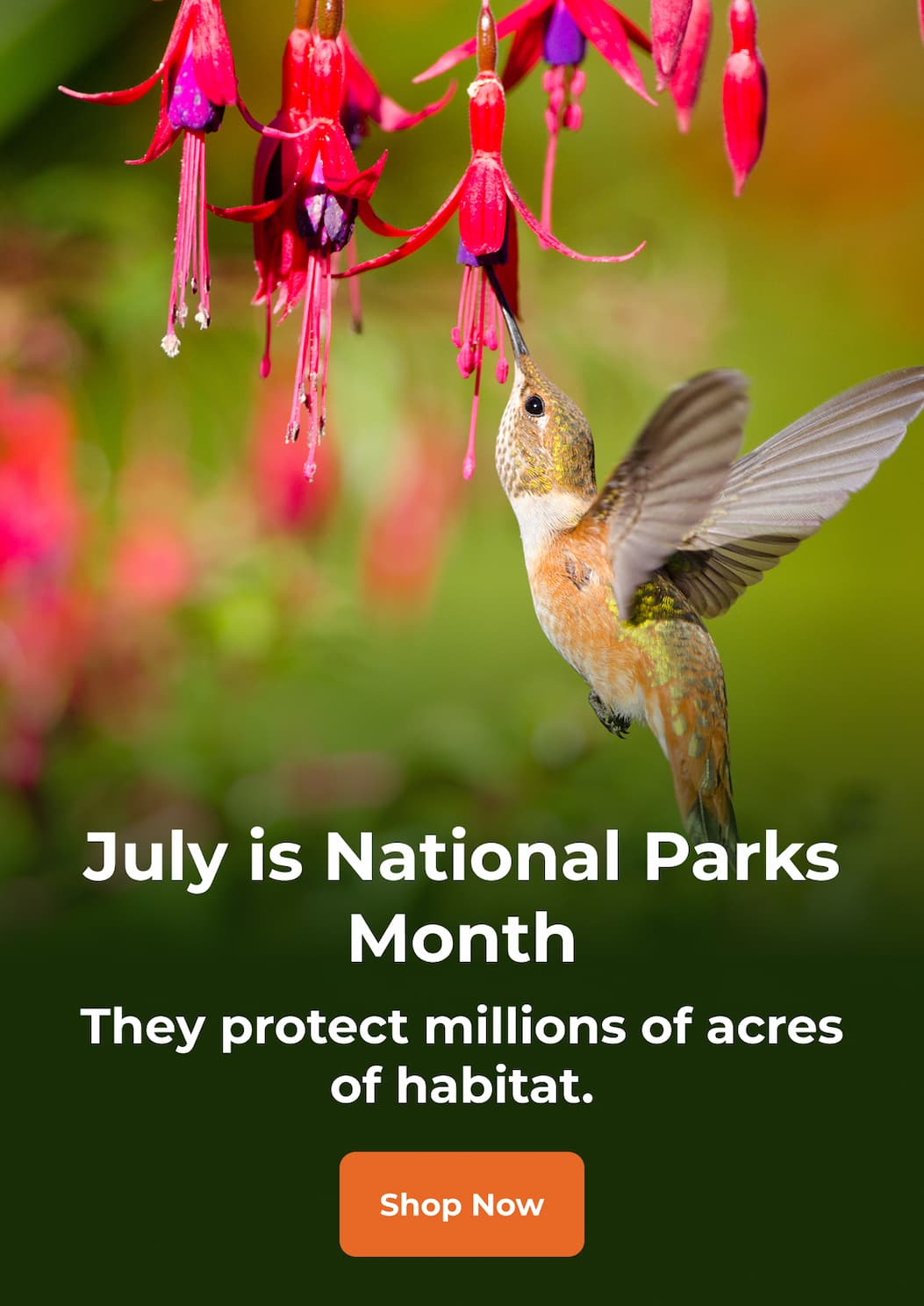 July is National Parks Month