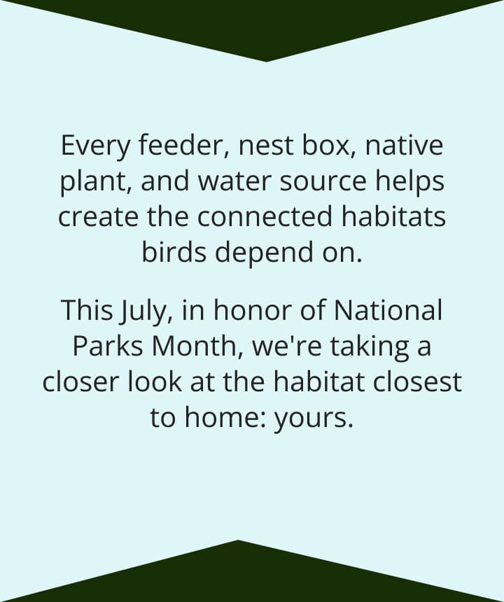 Every feeder, nest box, native plant, and water source