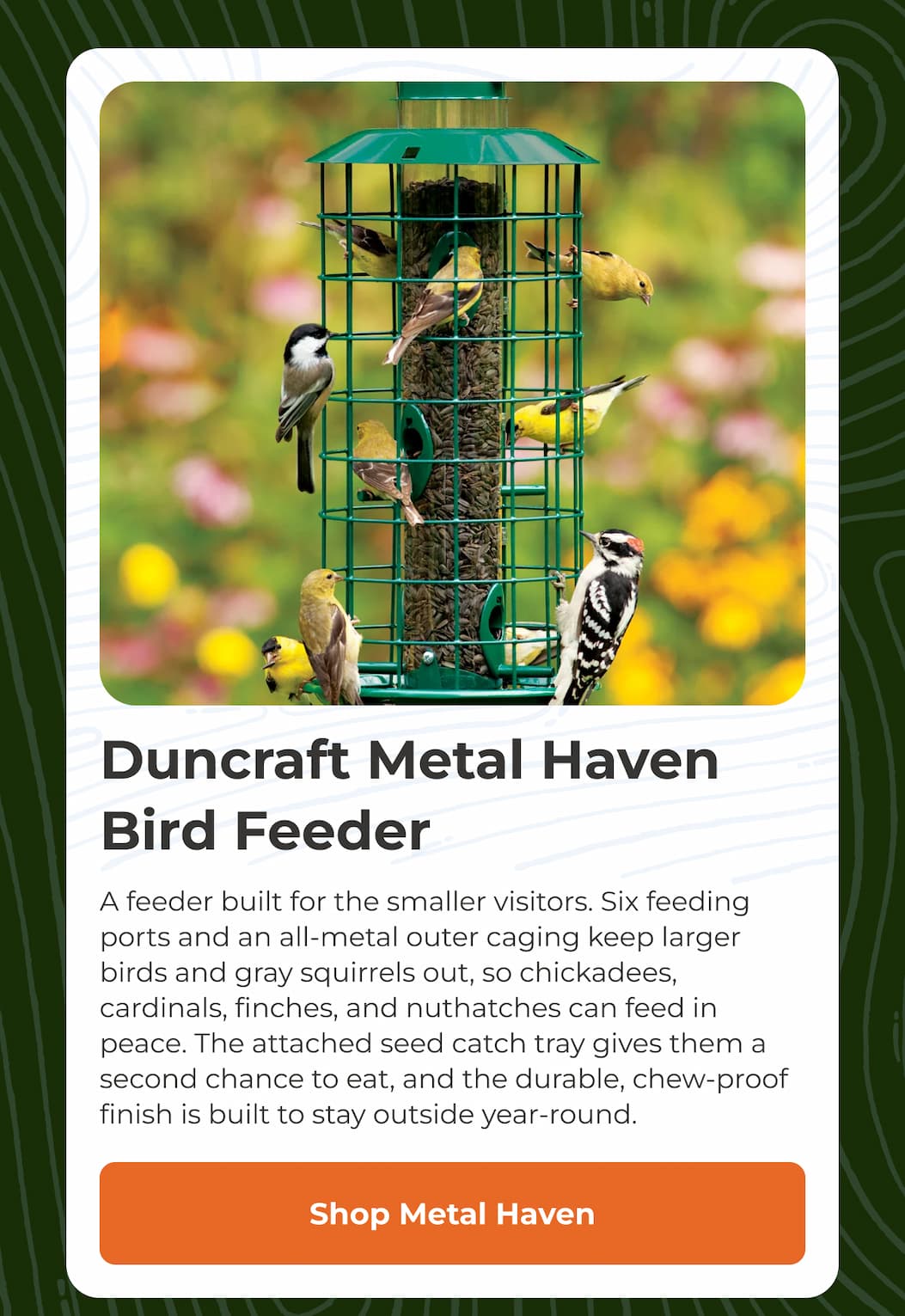 Duncraft Metal Haven Bird Feeder