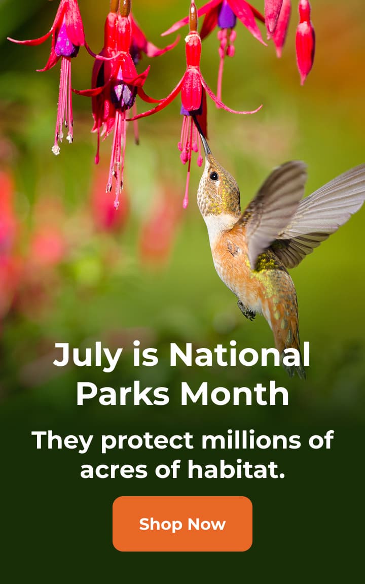 July is National Parks Month