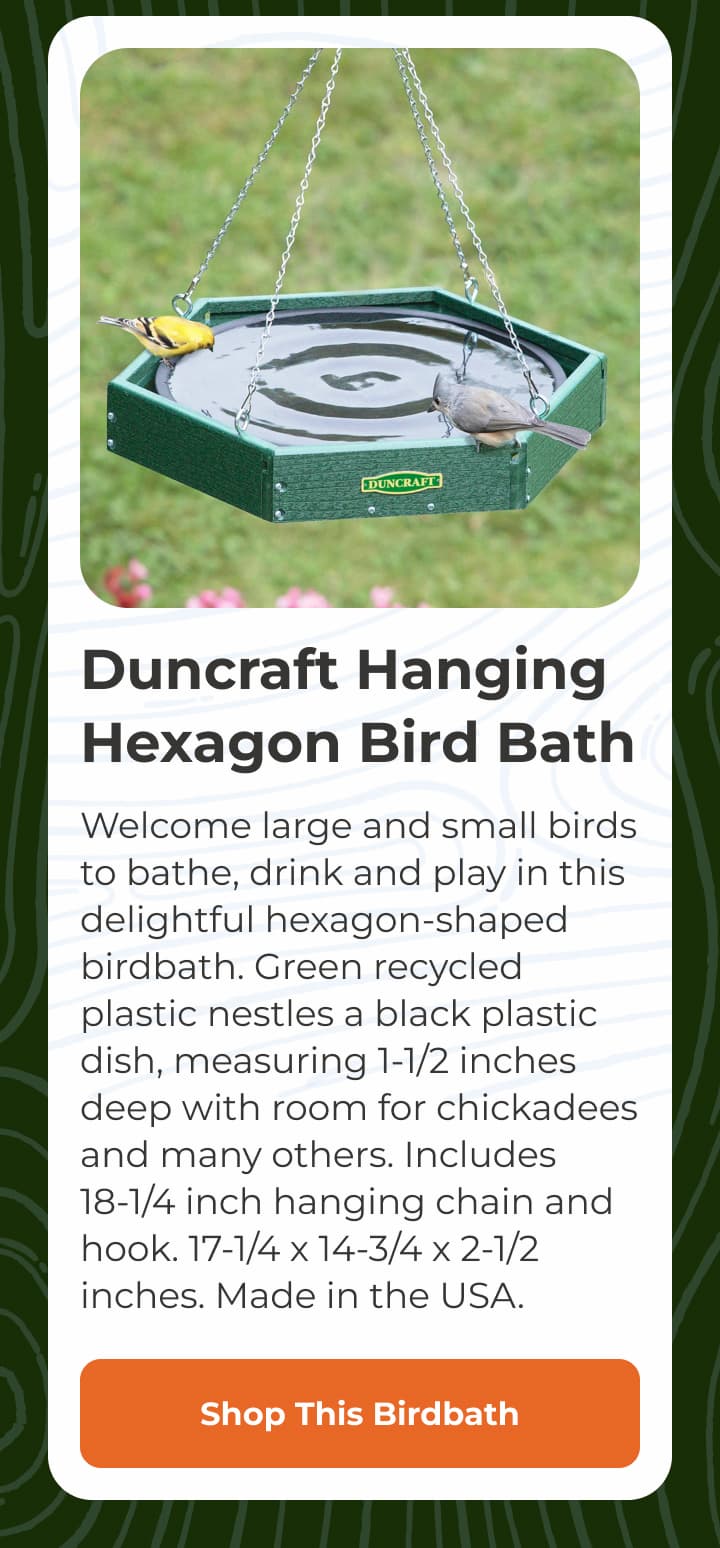 Duncraft Hanging Hexagon Bird Bath