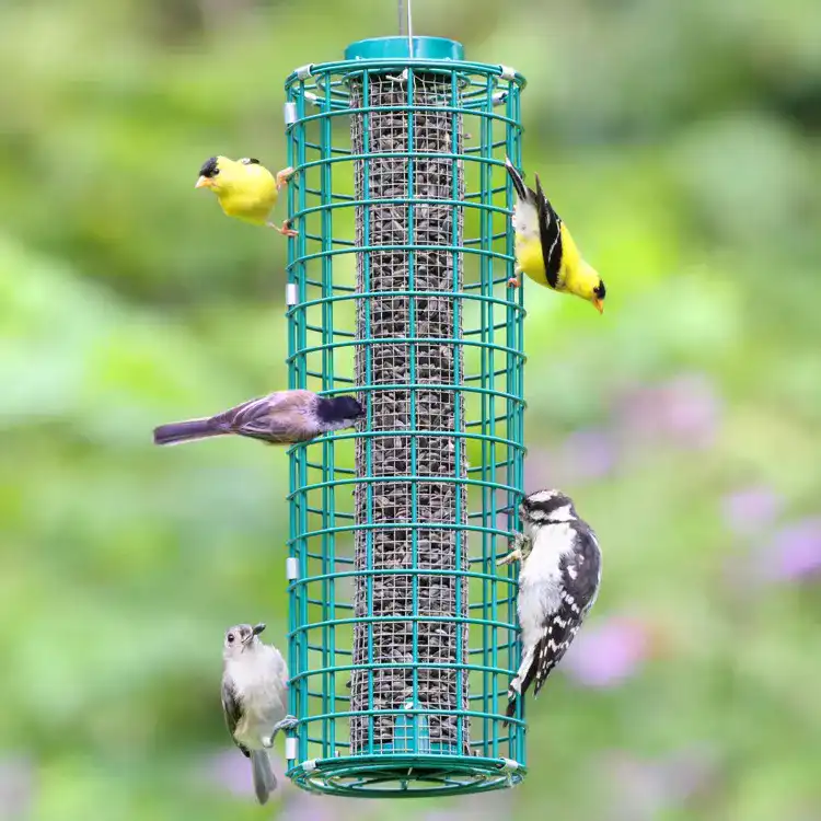 Image of Duncraft Squirrel Blocker™ Bird Feeder