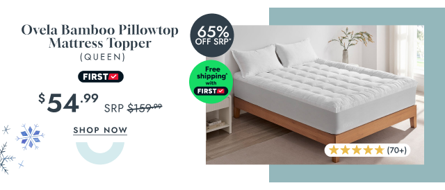 Ovela Bamboo Pillowtop Mattress Topper (Queen)