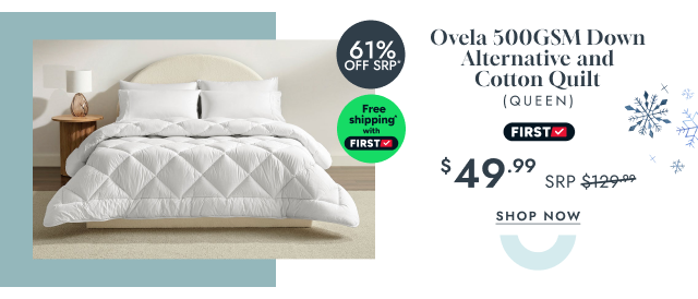 Ovela 500GSM Down Alternative and Cotton Quilt (Queen)