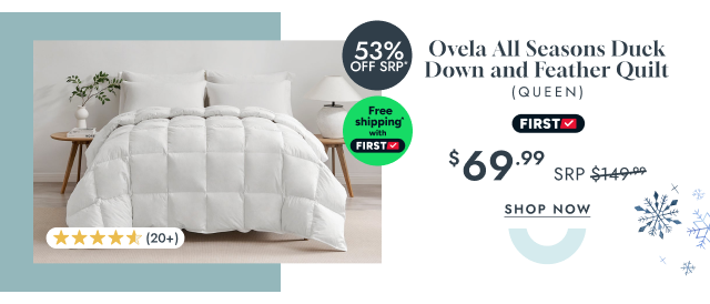 Ovela All Seasons Duck Down and Feather Quilt (Queen)
