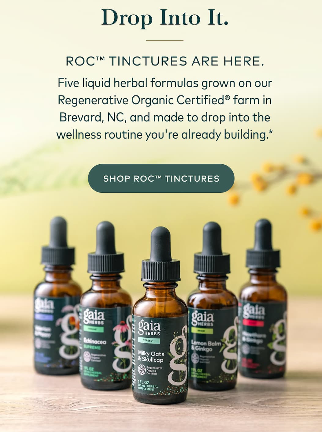 Shop ROC Tinctures