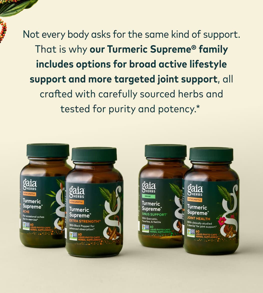 Turmeric Support