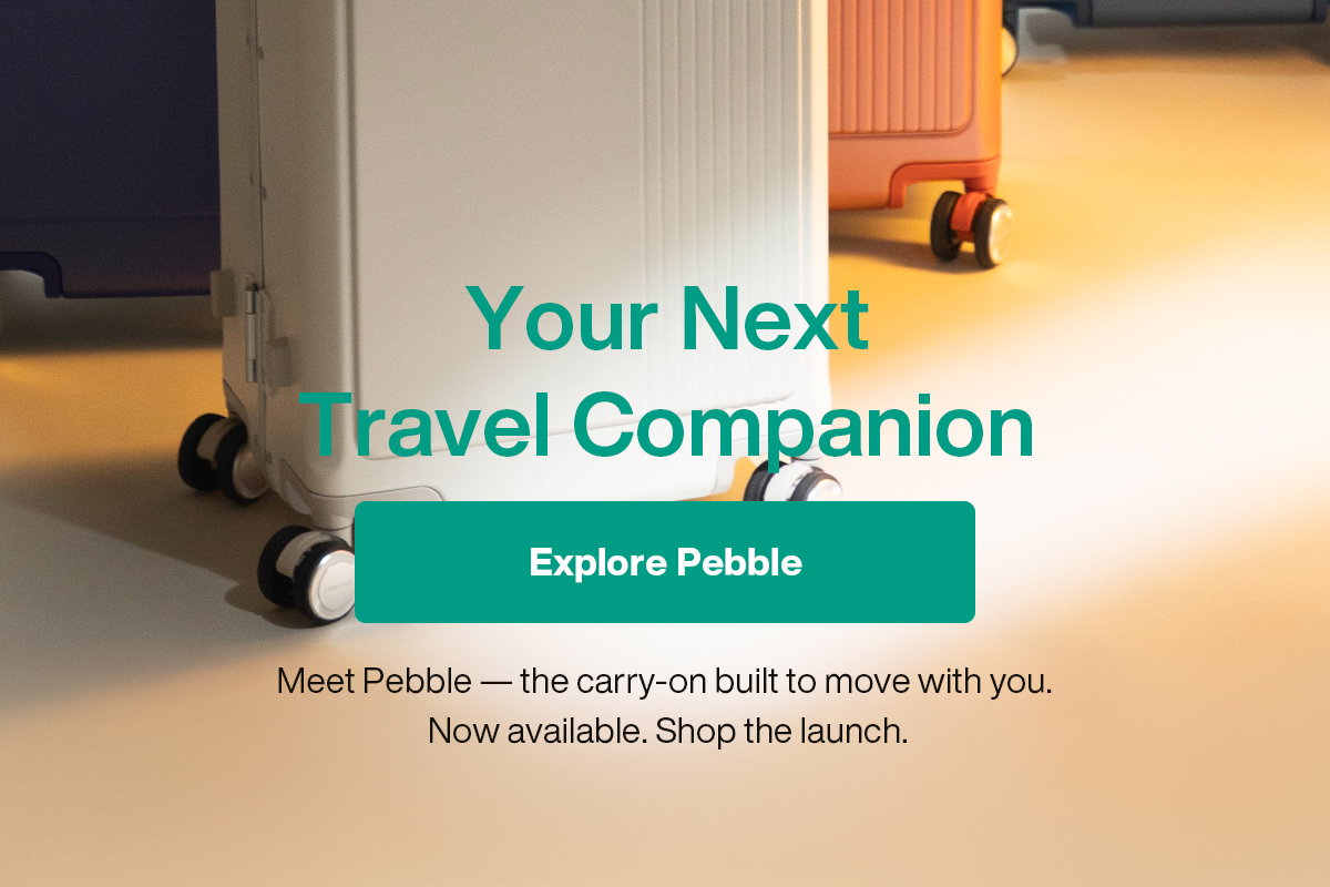 Your Next Travel Companion
