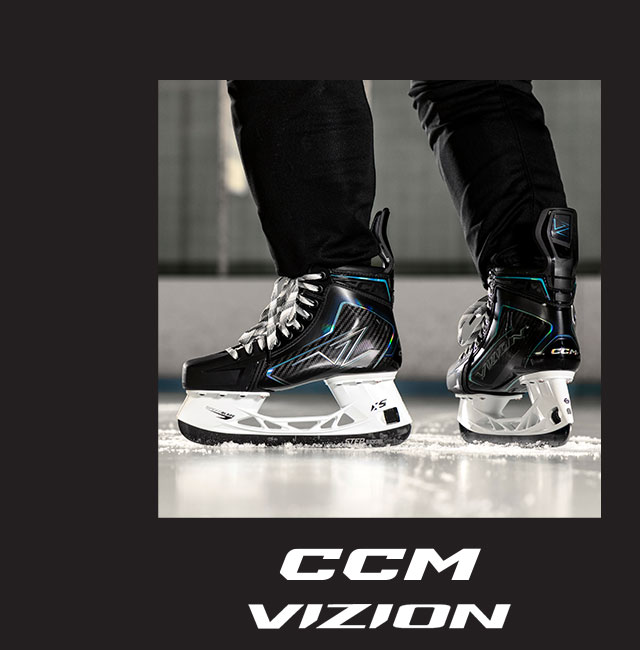 B1a - CCM Vizion