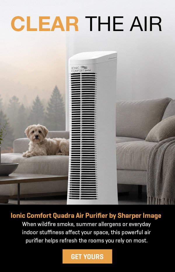 Refresh your space with our #1 air purifier -- and get 30% off.