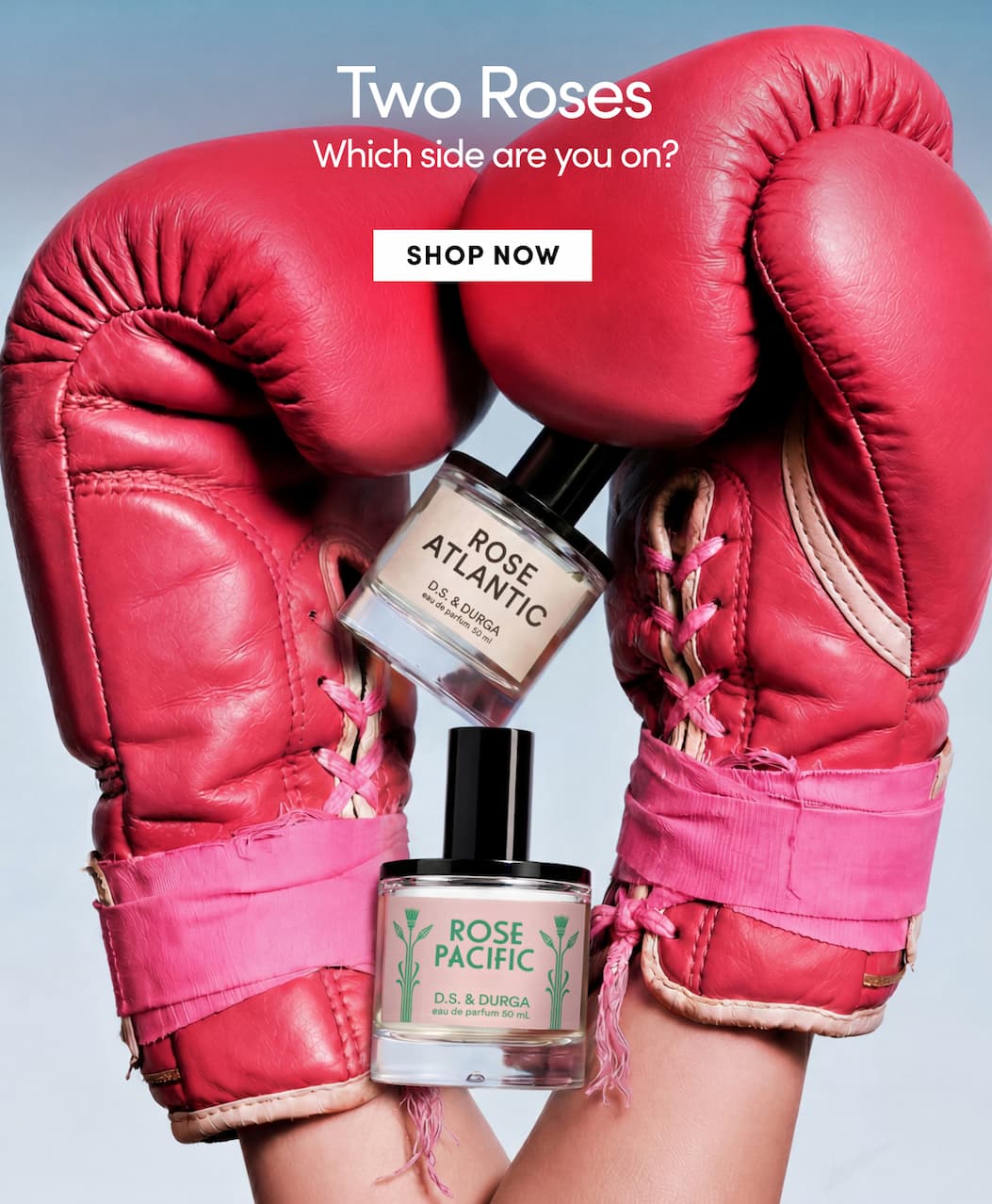 Two fresh roses, which side are you on? shop now