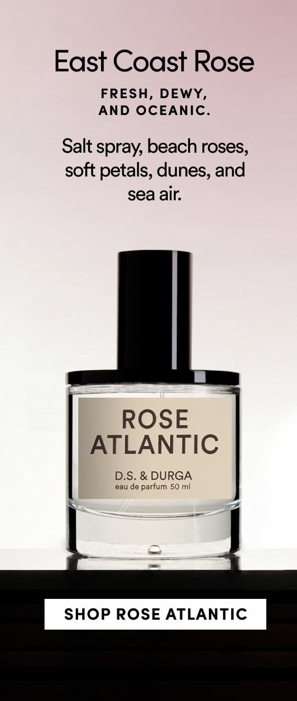 east coast rose, shop now