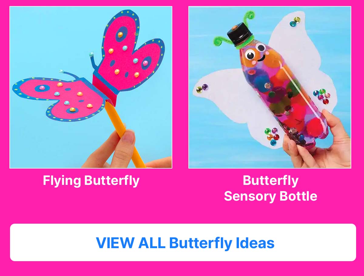 Butterfly Craft Ideas
