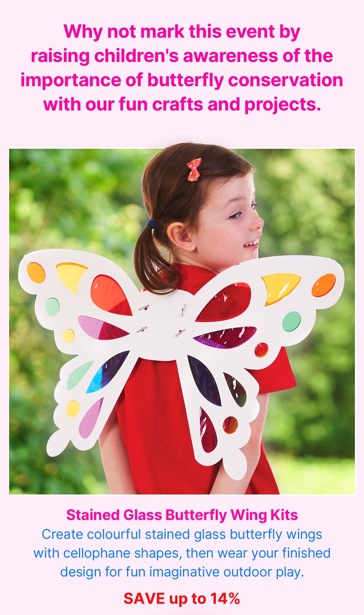 Stained Glass Butterfly Wing Kits