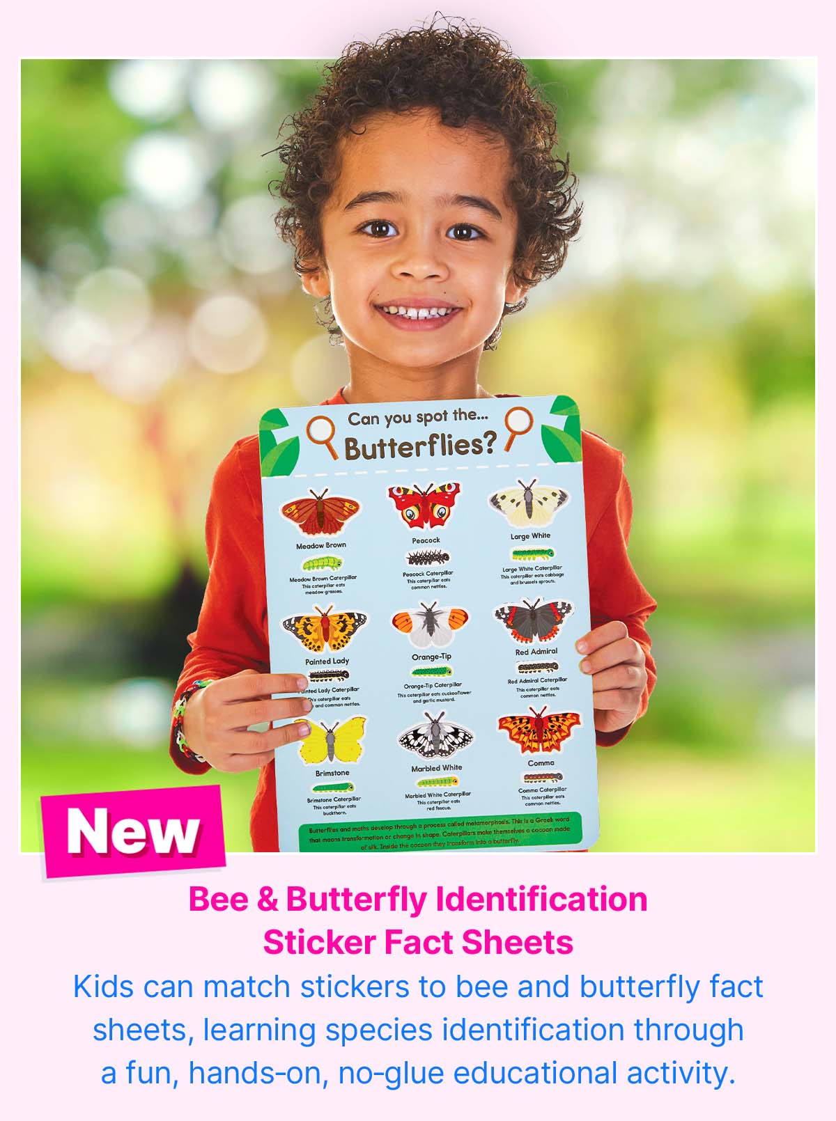 Bee & Butterfly Identification Sticker Fact Sheets