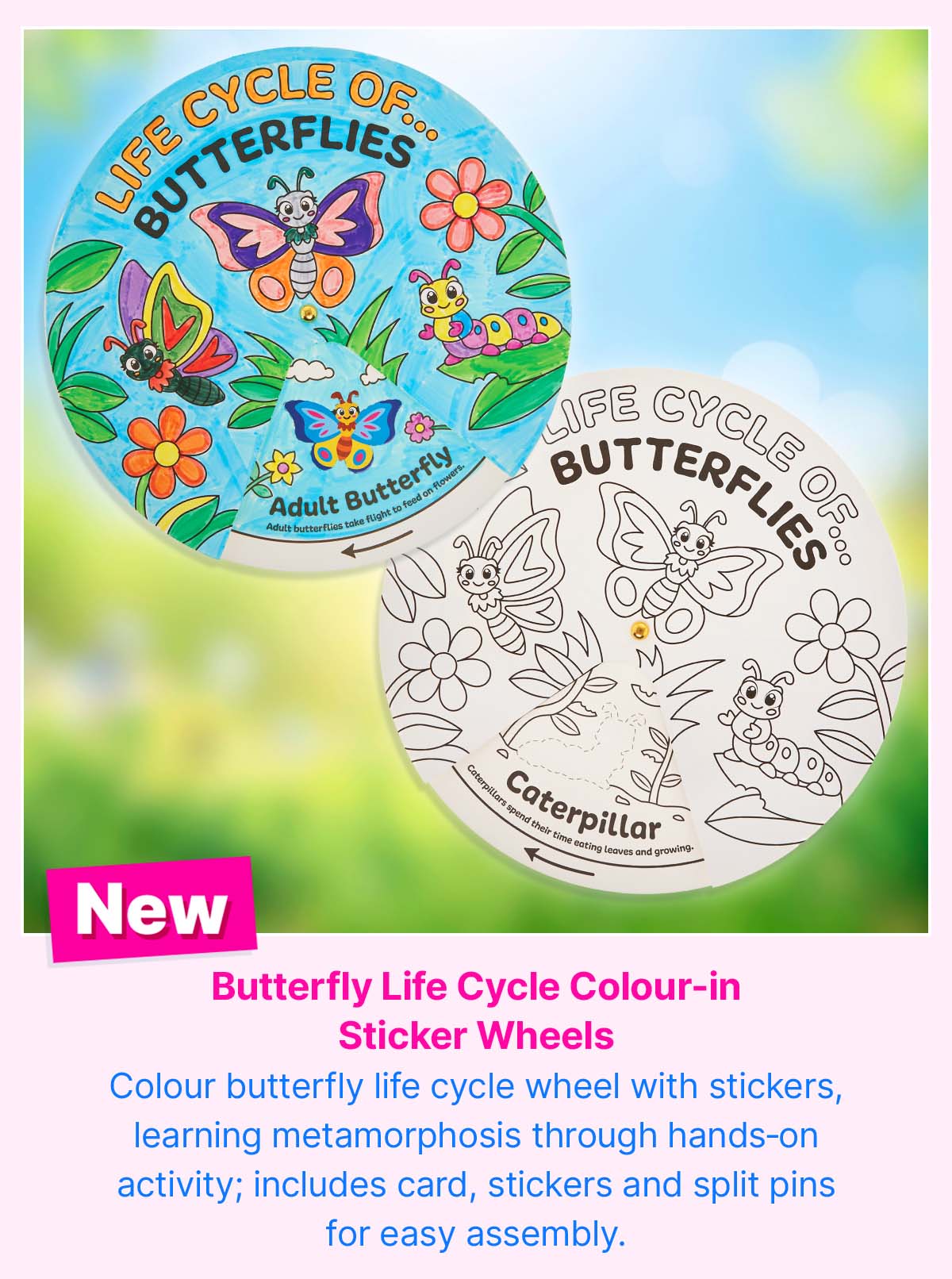 Butterfly Life Cycle Colour-in Sticker Wheels