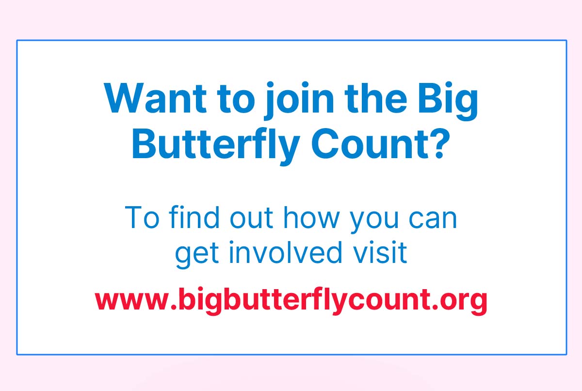 Butterfly Count