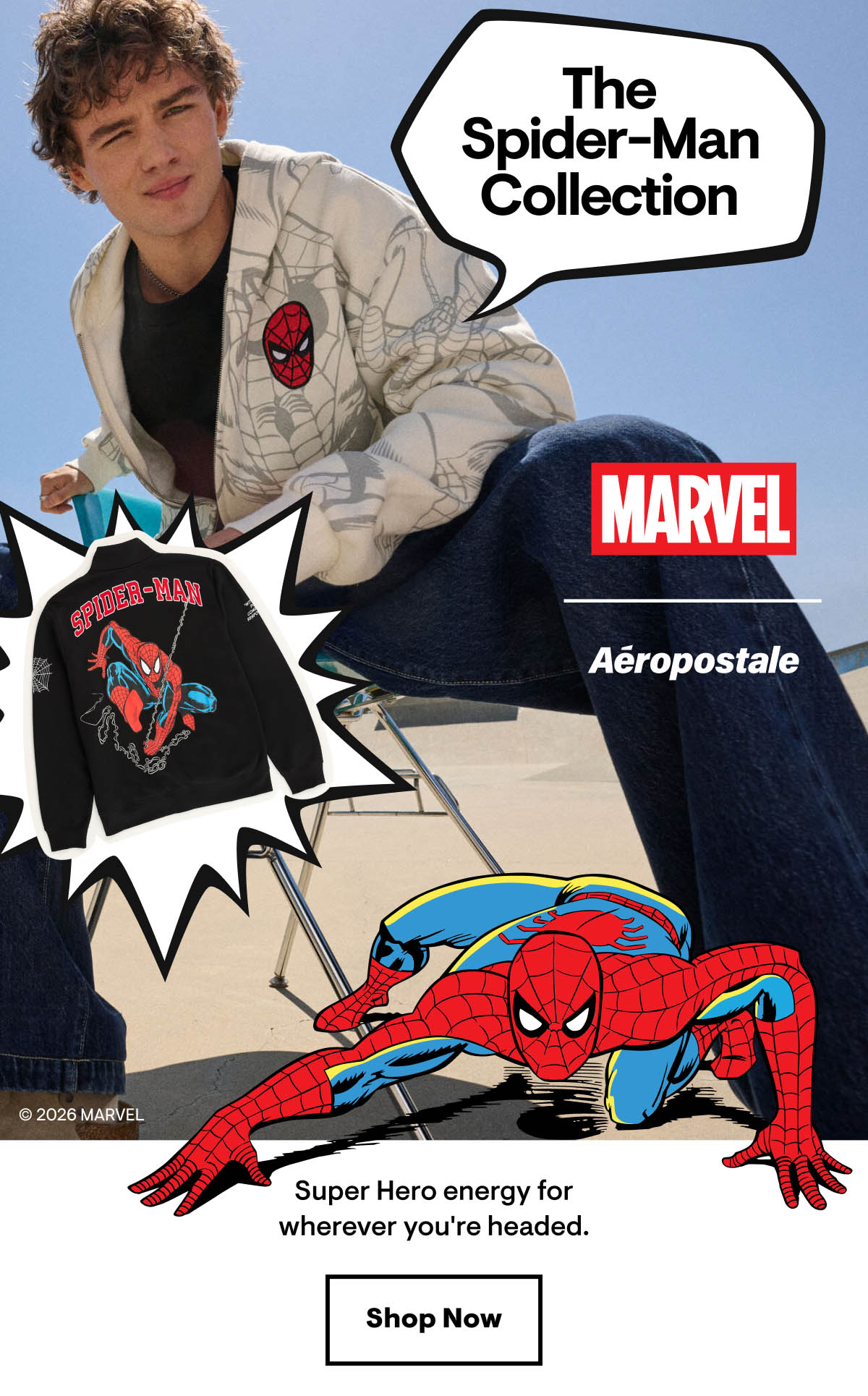 The Spider-man Collection!