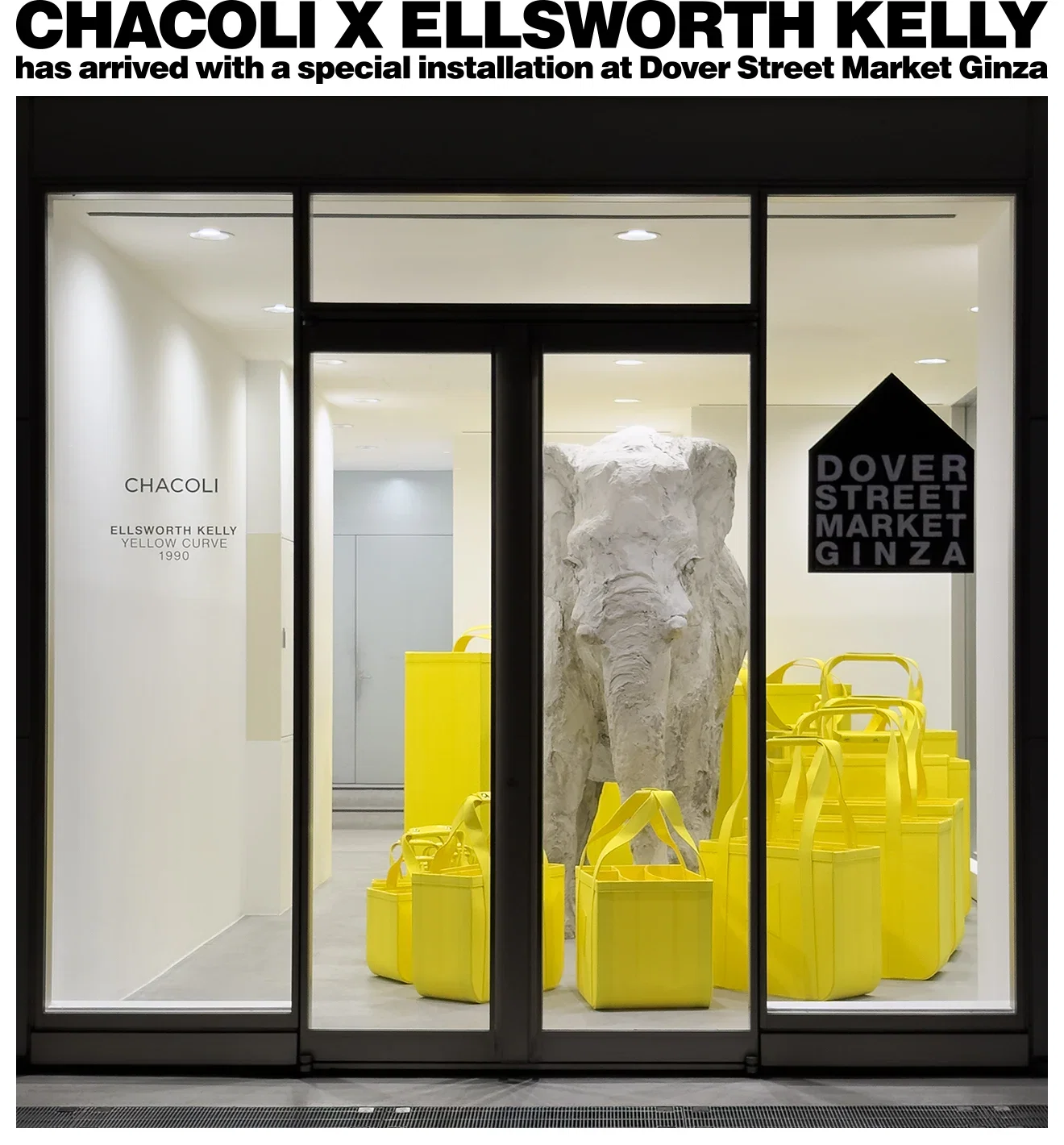 Chacoli x Ellsworth Kelly