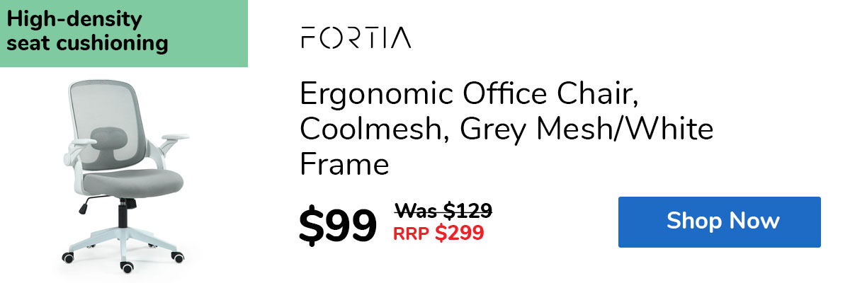 Ergonomic Office Chair, Coolmesh, Grey Mesh/White Frame