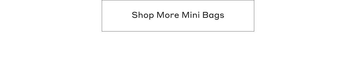 Shop More Mini Bags