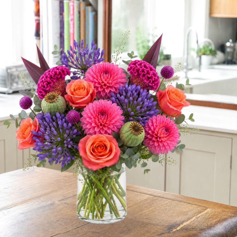 Image of Dahlia Delight