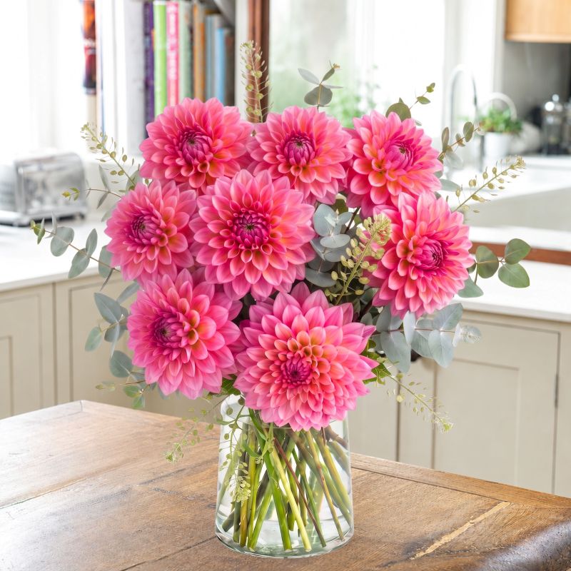 Image of Pink Dahlias