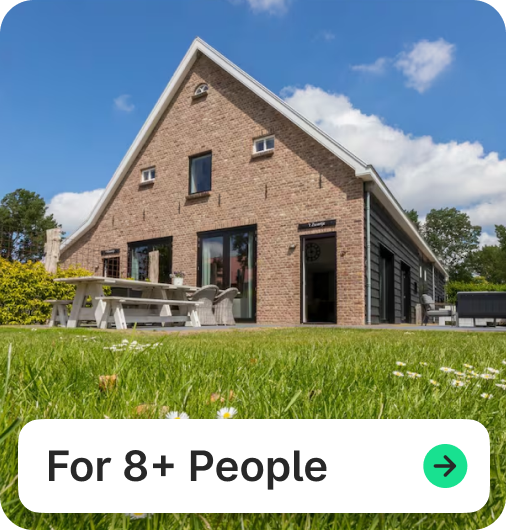 8+ People