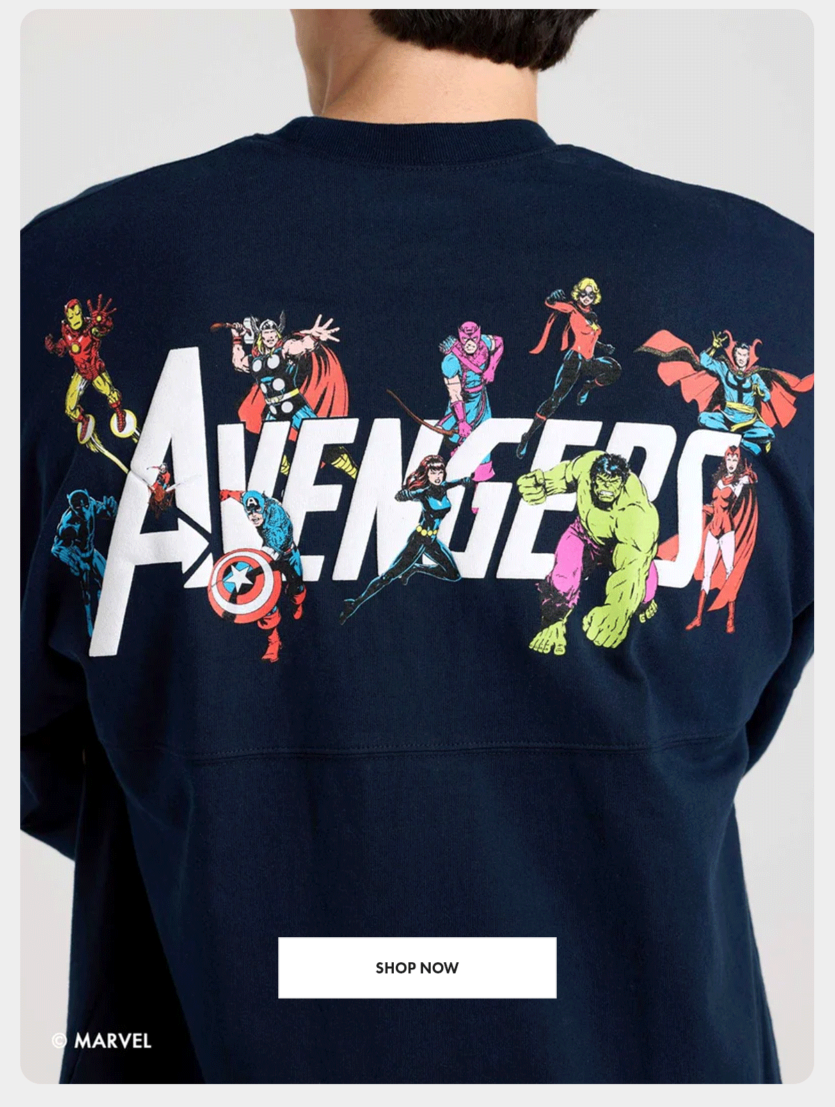 Marvel Avengers Spirit Jersey