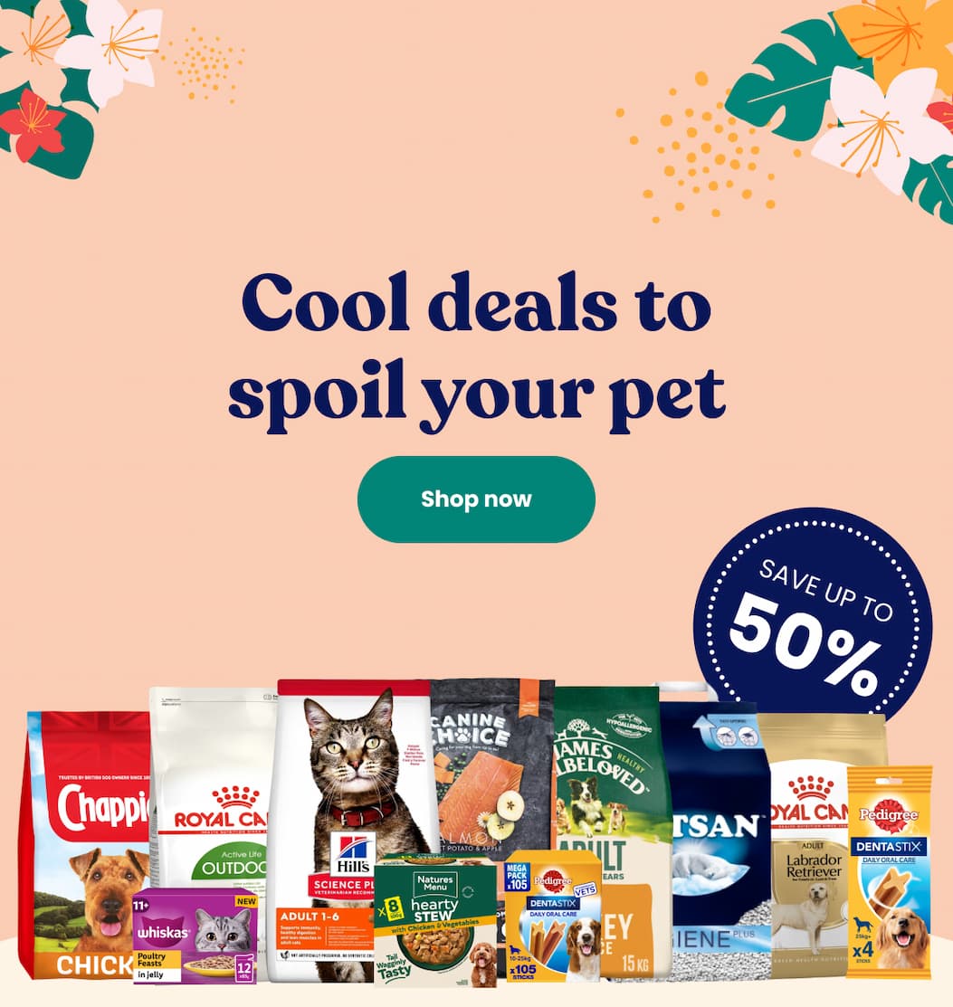 Cool deals to spoil your pet