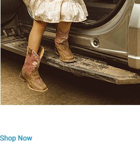 Go Rhino RB30
