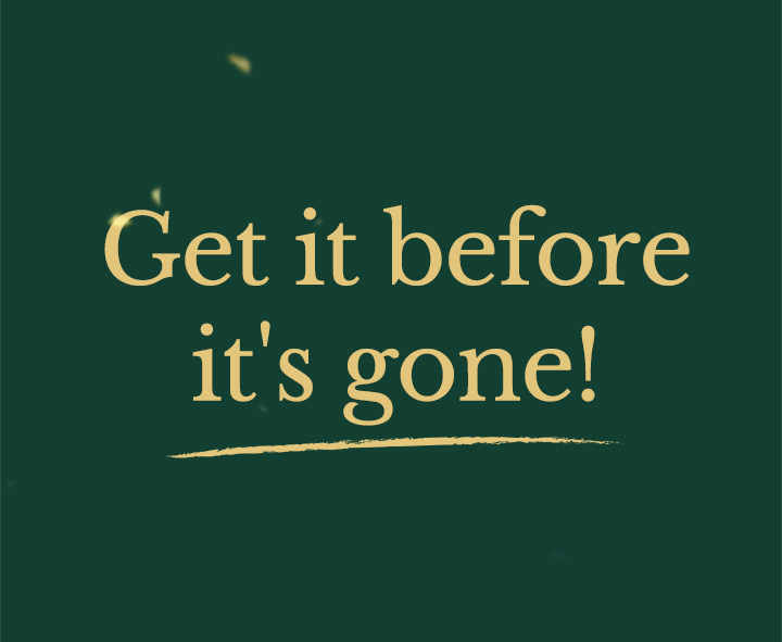 GIF with animated text 'Get festive. Get savings. Get it before it's gone.'
