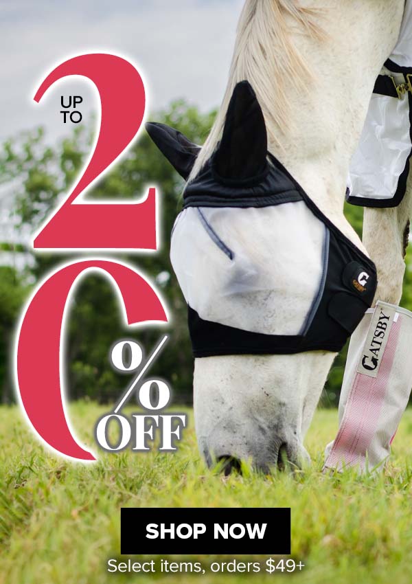 Sitewide Savings! 20% Off over $49