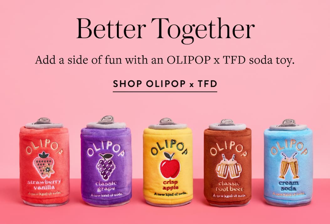 Shop OLIPOP x TFD Toys