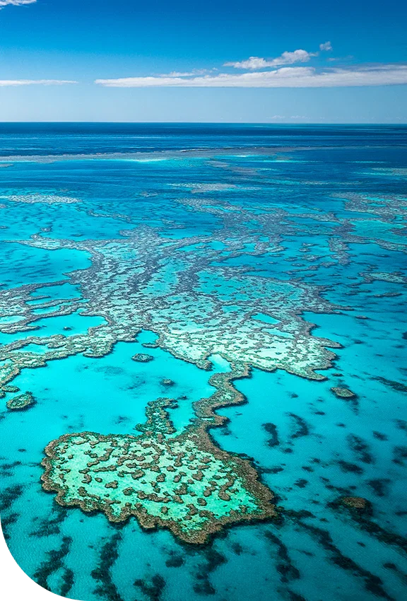 Great Barrier Reef, Australia. Book now.