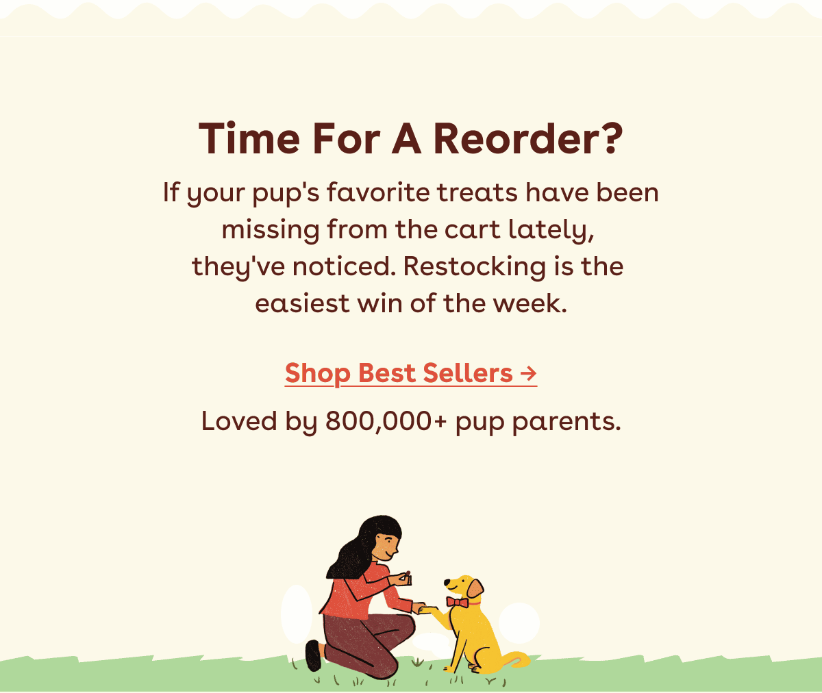 Time for a reorder? Shop best sellers. 