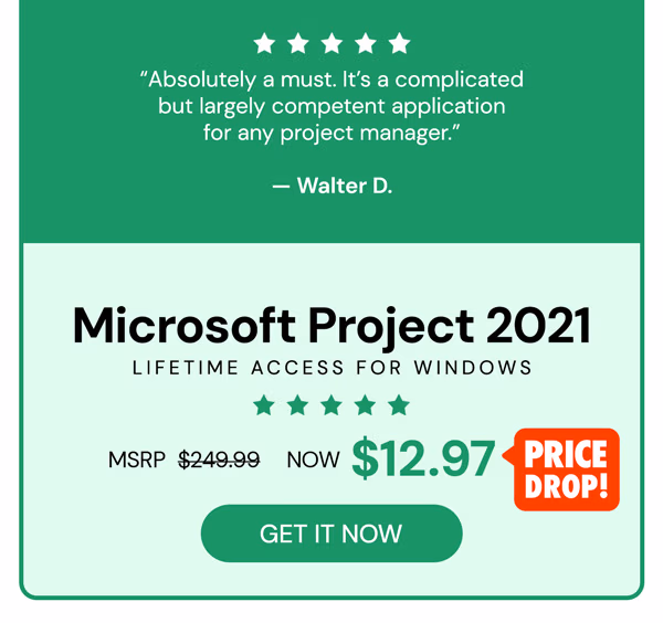 Microsoft Project 2021 Professional: Lifetime License for Windows