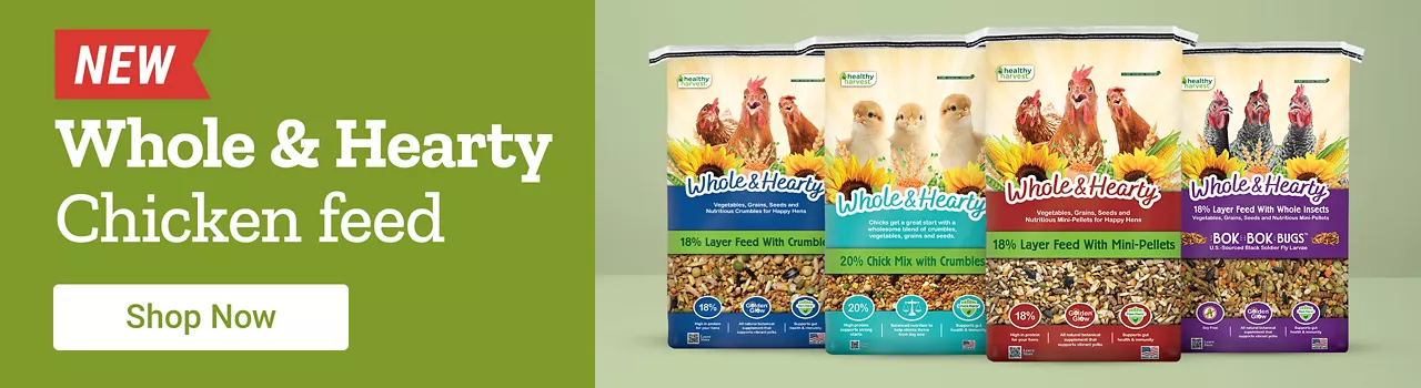NEW Whole & Hearty Chicken Feed