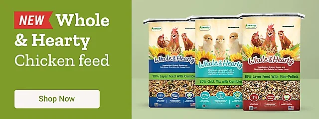 NEW Whole & Hearty Chicken Feed