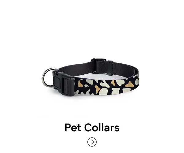 Pet Collars