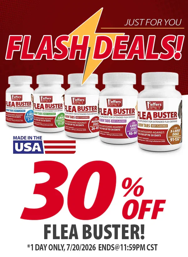 Flash Deals